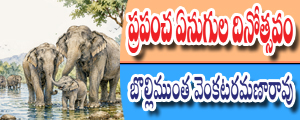 Prapancha Enugula Dinotsavam